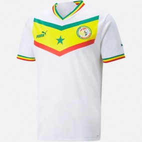 Senegal 2023/2024 Hemma Fotbollströjor Kortärmad